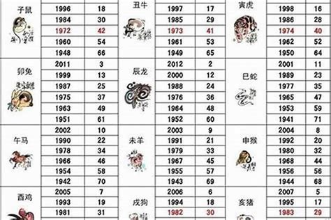 屬狗生肖|屬狗年份｜2024年幾歲？屬狗出生年份+歲數一